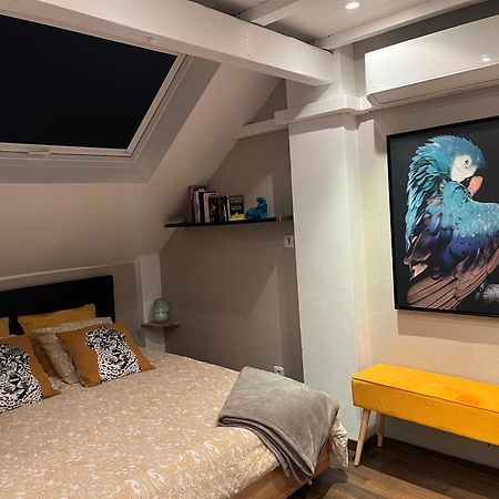 Charmant Duplex Privatise, Climatise, 2 Chambres Estrasburgo Exterior foto