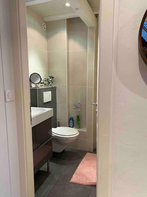 Charmant Duplex Privatise, Climatise, 2 Chambres Estrasburgo Exterior foto